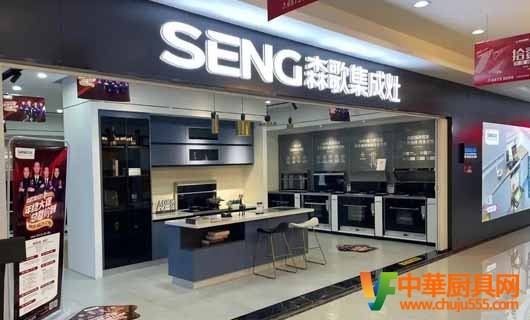 大品牌集成灶引领多元化智能产品矩阵