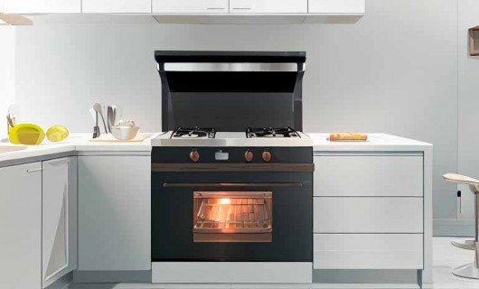 大品牌集成环保灶持续4年受消费者青睐(中国<span class=