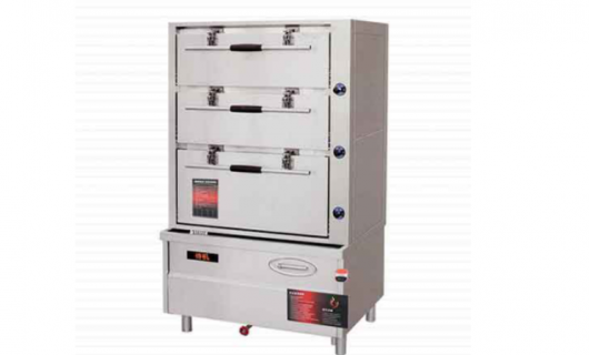 蒸鲜领航，电磁赋能——探索<span class=