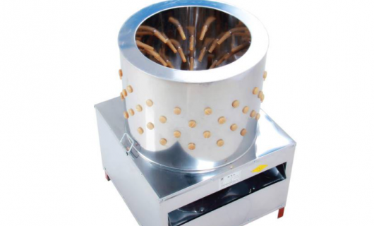 “羽”化飞仙，净享美味 —— 高效小鸟类脱毛机：开启禽类加工新纪元