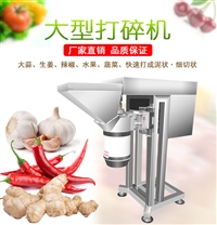 九盈机械切菜机大型打姜机 大蒜打碎机 强力破碎机厂家 打辣椒浆 打土豆泥图片 价格