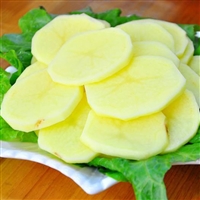 嘉洋机械切菜机切菜机  <span class=