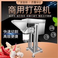 九盈机械切菜机打辣椒酱tj-307 多功能破碎机 大蒜生姜打泥蒜蓉机 九盈图片 价格