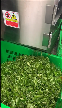 嘉洋机械切菜机嘉洋牌双头切菜机 多功能切菜机厂家 辣椒切段机长短可调图片 价格