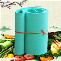 君泰橡塑橡胶传送带切菜机输送带 食品级输送带 餐厅切配菜输送带图片 价格