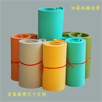 君泰橡塑橡胶传送带切菜机输送带 君泰橡塑 纯胶无味切菜机输送带 660型实时发货图片 价格