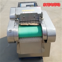 圣鲁切菜机切菜机 食堂切菜机 多功能 切丁切丝机图片 价格