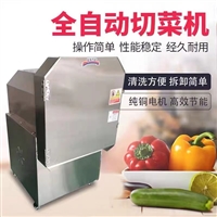 河北泉森机械切菜机家用切菜机  <span class=