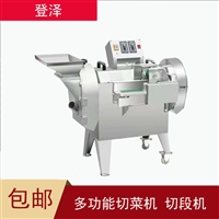 登泽切菜机电动切菜机 餐饮连锁自动切菜机 变频切菜机图片 价格