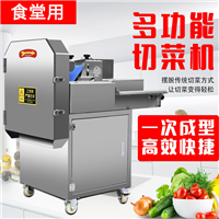 河北泉森机械切菜机食堂饭店用小型切菜机 <span class=