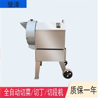 登泽切菜机家用切菜机 厂家全自动切菜机 多功能切菜机图片 价格