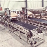 凯迪机械设备凯迪水晶粉皮机 多功能土豆绿豆粉皮加工设备 400型粉皮机产量高图片 价格