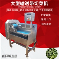 赫德切菜机大型叶类菜切菜机 大型净菜切菜流水线 叶类菜切割流水线图片 价格