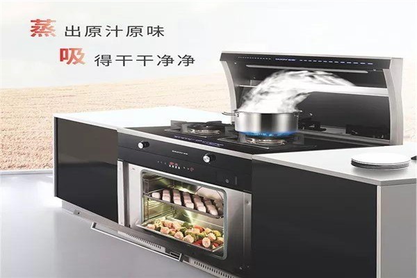 多意集成环保灶