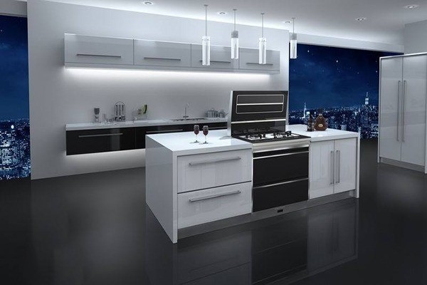 绥馨厨房电器代理