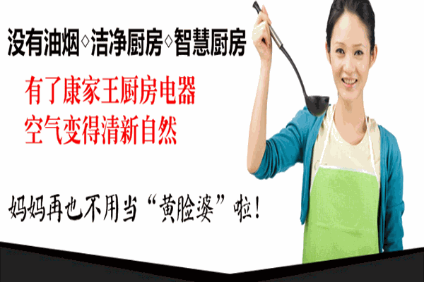 康家王厨卫电器代理