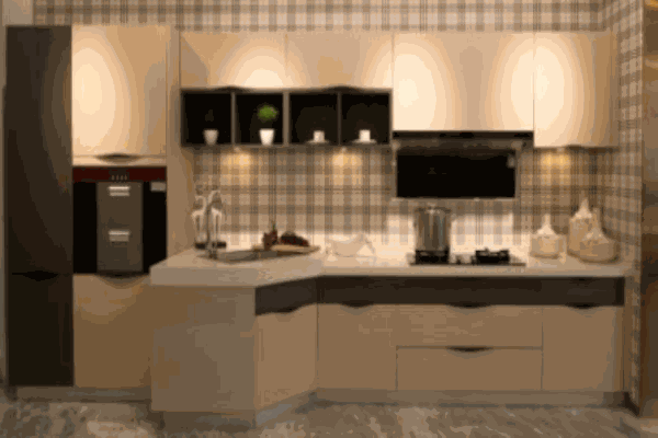 智牌橱柜厨具代理