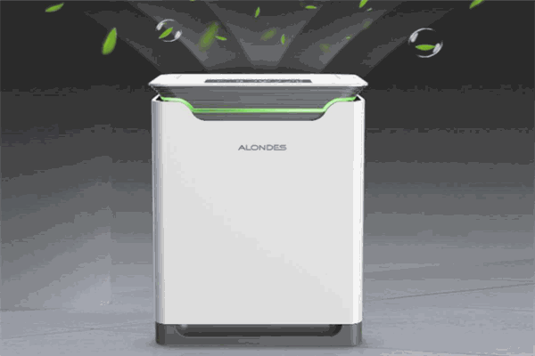 全朗空气净化代理