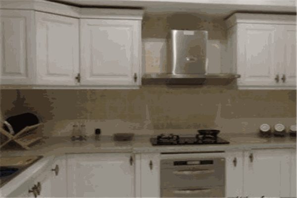 森诺整体橱柜代理