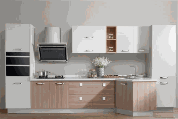 欧枫美家橱柜代理