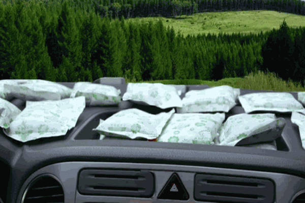 逍遥林招商加盟