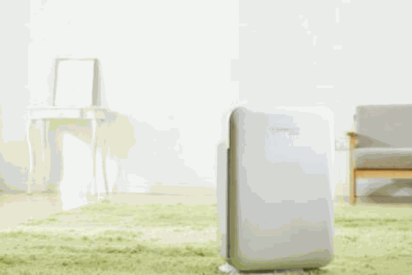 爱优特空气净化器代理