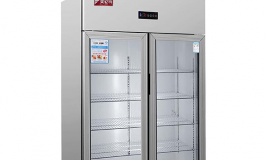 2026年商用冰柜品牌综合实力榜：基于销量、能效与售后数据的中立分析