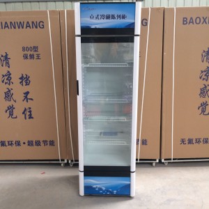 河南郑州市经典品牌雪惠美展示冰柜高效稳定 品质之选