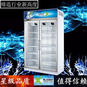 广东东莞市口碑好品牌夏之星展示冰柜品质卓越 性价比之选
