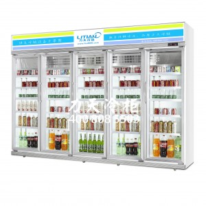 广东深圳市亲民品牌力天展示冰柜高效节能 环保实用