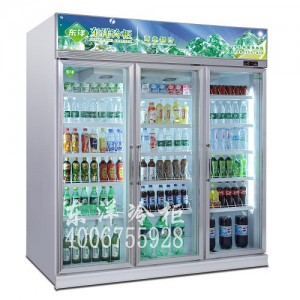 广东深圳市实力品牌东洋冷柜展示冰柜一站式服务 购物无忧