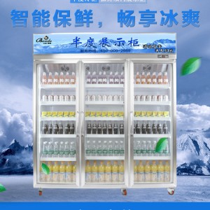 广东佛山市亲民品牌半度斯雅展示冰柜功能全面 满足您的各种需求