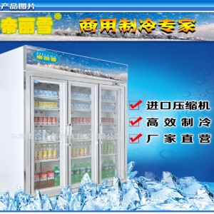 广东东莞市行业实力品牌帝丽雪立式保鲜柜引领行业 创新科技产品