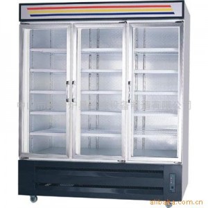 广东中山市高端品牌岐景立式保鲜柜轻松上手 操作简单