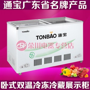 广东广州市高端品牌通宝卧式冷冻冰柜<span class=