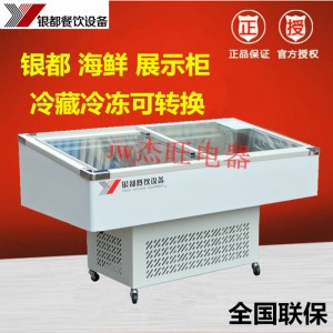 广东深圳市品牌鼎盛卧式冷冻冰柜<span class=