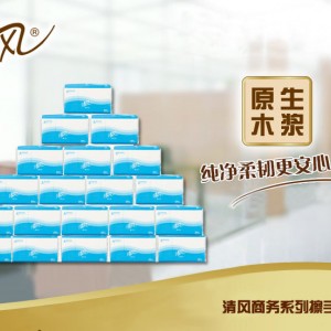 江苏苏州市创新品牌清风擦手纸精美包装 送礼自用两相宜