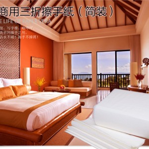 江苏苏州市实力品牌天顺纸业擦手纸匠心制造 品质卓越